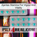 Ajantas Stamina For Vigour And Vitality 29